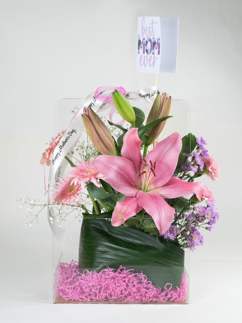 Grace | Mother’s Day Special