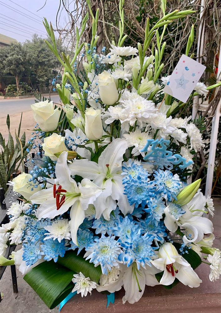 Blue & White